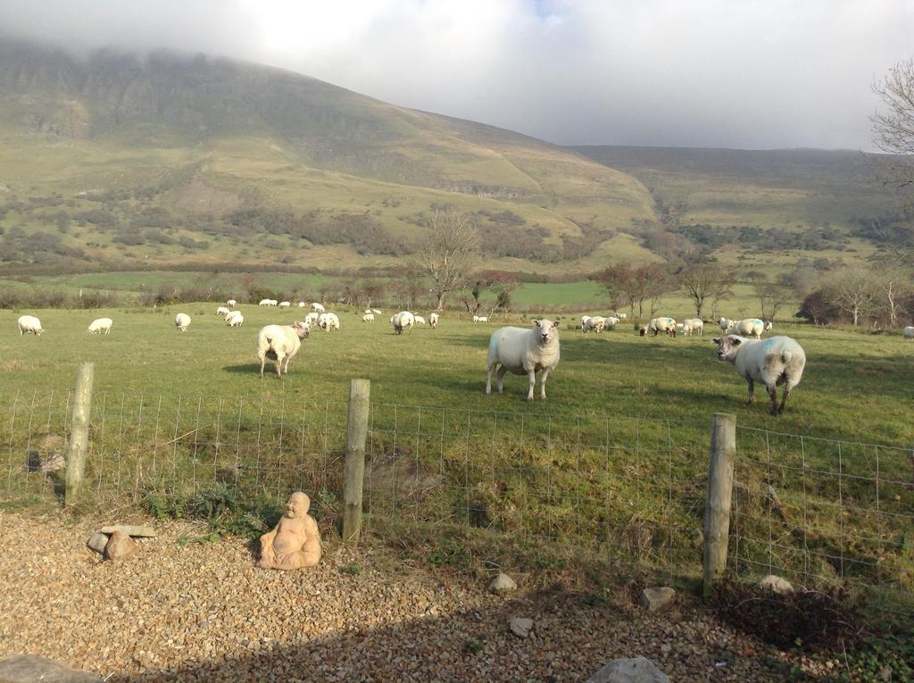 Benbulben Farmhouse B&B Drumcliff Exterior photo