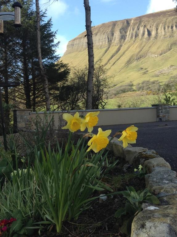 Benbulben Farmhouse B&B Drumcliff Exterior photo